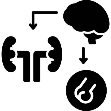 Böbrek ikonu. Beyaz renkte izole edilmiş web tasarımı için böbrek vektör simgelerinin basit çizimi