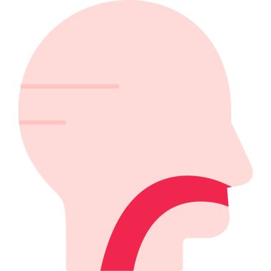 İnsan yüzü. Basit resimleme