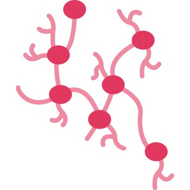 insan anatomisi vektör çizim