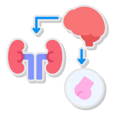 Karaciğer ve böbrek vektör simgesi, çizgi film biçimi