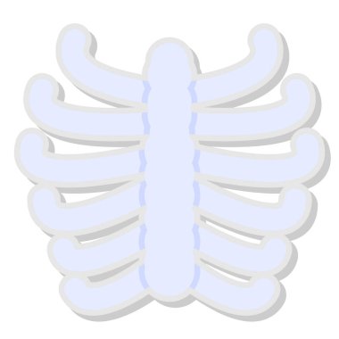 İnsan anatomisi, illüstrasyon, beyaz arkaplan üzerindeki vektör