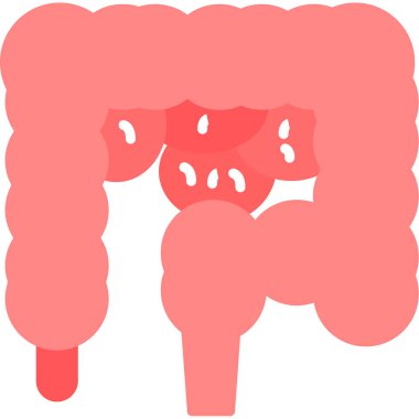 Mide ikonu. Beyaz arkaplanda izole edilmiş mide vektörü simgesinin düz çizimi