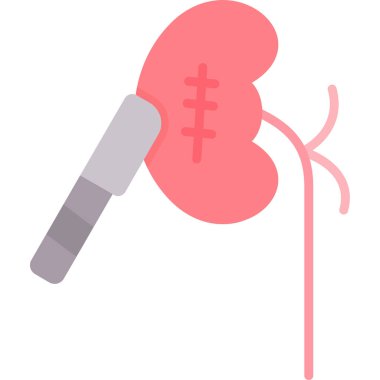 Böbrek organ ikonu vektör çizimi tasarımı