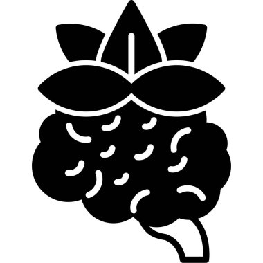 Taze ahududu ikonu. Beyaz arkaplanda izole edilmiş web tasarımı için taze böğürtlen vektör simgesi