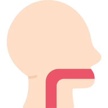 İnsan vücudu organ vektör çizimi tasarımı