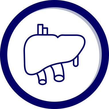 Karaciğer modern vektör simgesi, vektör