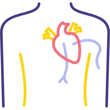 İnsan organlı kalp.