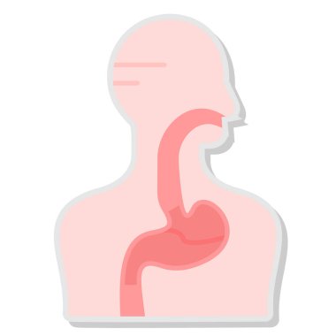 İnsan organ ikonu. Düz renk tasarımı. vektör illüstrasyonu.