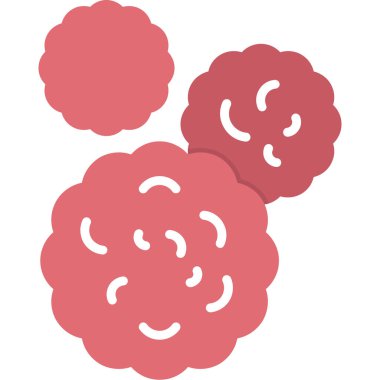 ahududu meyve ikonu vektör illüstrasyonu