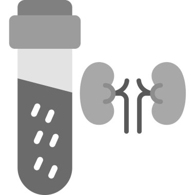 Kan tüplü insan böbreği.