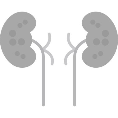 İnsan böbrek ikonu