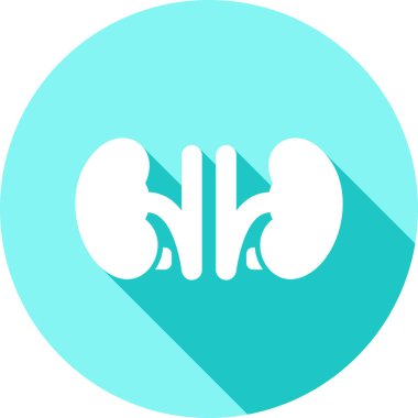 İnsan böbrek simgesinin vektör çizimi