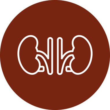Böbrek çizgisi ikonu, vektör çizimi, böbrek işareti geçmişi. doğrusal vektör çizgisi sembolü