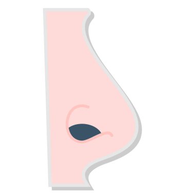 İnsan anatomisi vektör çizimi. çizgi film biçimi