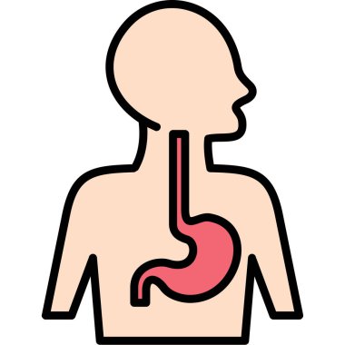 mide ikonu vektör illüstrasyonu