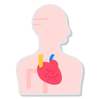 İnsan Kalbi vektörü simgesi