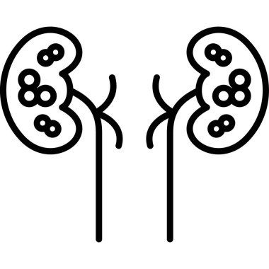 İnsan böbreği ikonu. Beyaz arkaplanda izole edilmiş web tasarımı için insan böbreği ikonu