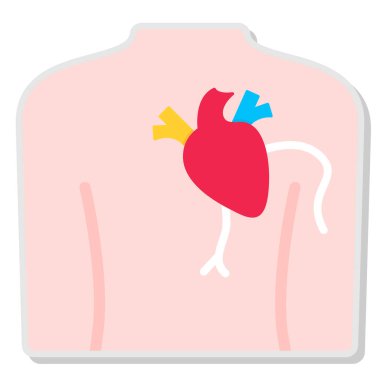 Organı olan insan kalbi