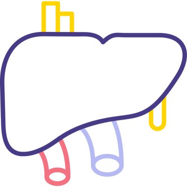 Bir karaciğerin vektör çizimi