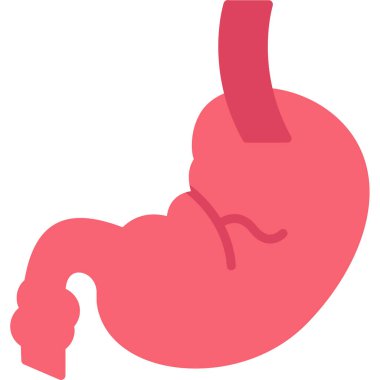 mide ikonu vektör illüstrasyonu