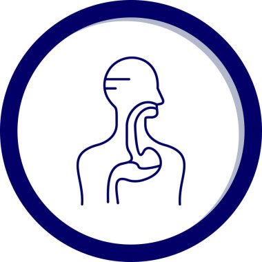 İnsan anatomisi ikonu. İnce çizgi tasarımı. vektör illüstrasyonu.