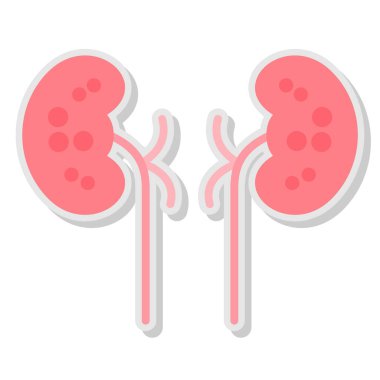 İnsan böbreği simgesi, düz stil