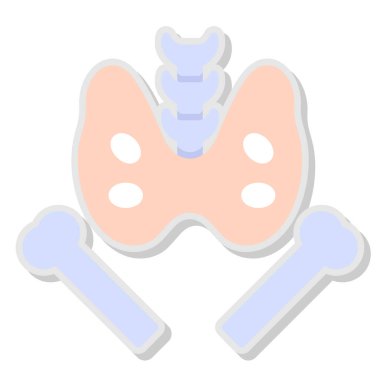 Pelvis web simgesi, vektör illüstrasyonu