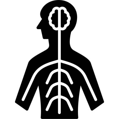 İnsan vücudu anatomisi simgesi, vektör illüstrasyonu