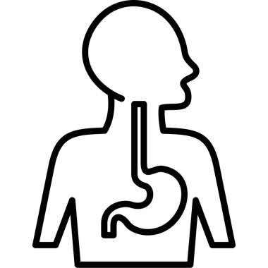 İnsan vücudu anatomisi vektörü
