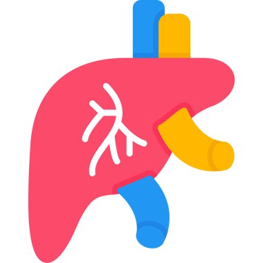 Karaciğer anatomi vektör simgesi