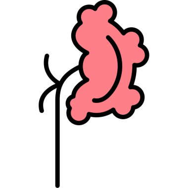 Böbrek hastalığı renk ikonu vektör çizimi