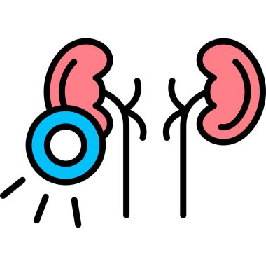 Böbrek simge vektör çizim