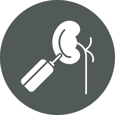 Böbrek ikonu. Beyaz arkaplanda izole edilmiş web tasarımı için böbrek vektör simgesinin basit çizimi