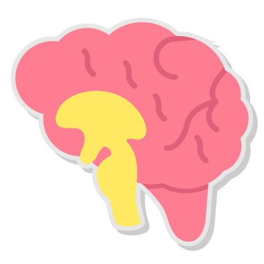 İnsan organlı beyin