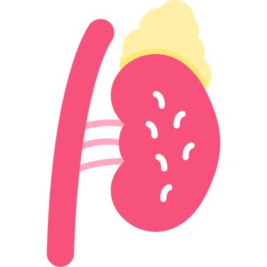 İnsan vücudunun vektör illüstrasyonu