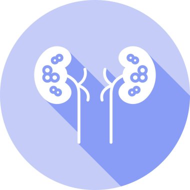 Vektör illüstrasyonu, böbrek kavramı