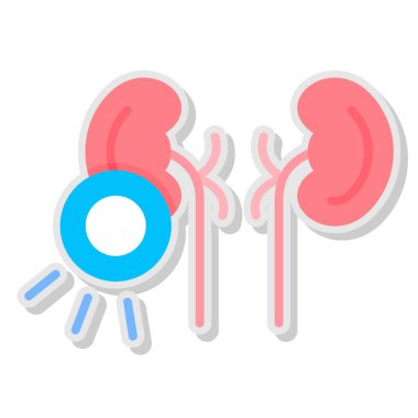 Böbrek simgesi beyaz arkaplan vektör çiziminde izole edilmiş karikatür biçiminde