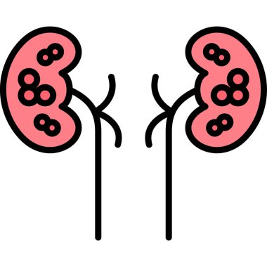 İnsan vücut organı renk vektör illüstrasyonu