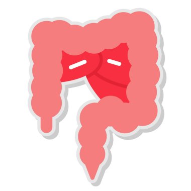 Mide anatomisi vektör illüstrasyonu