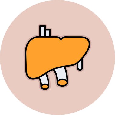 vektör karaciğer resimleme