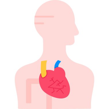 İnsan vücudu vektör çizimine sahip insan kalp organı