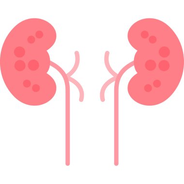 Şeffaf bir arka planda böbrek vektör çizimi. Birinci kalite semboller. kavram ve grafik tasarımı için vektör çizgisi düz simgesi.