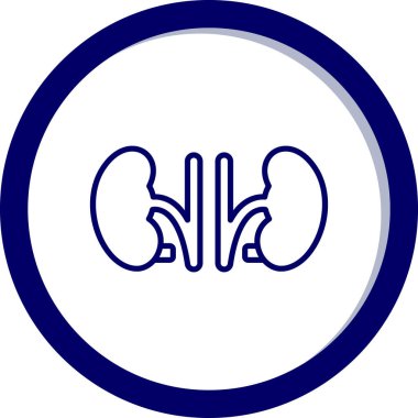 böbrekler simge vektör çizim