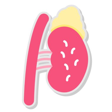 İnsan anatomisi simgesinin vektör illüstrasyonu