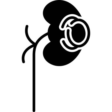 Böbrek simgesinin vektör çizimi