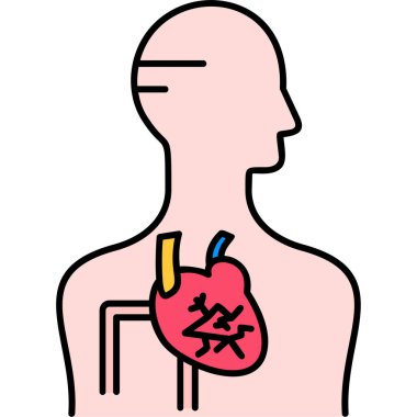 İnsan kalbi ve organ vektör çizimi tasarımı