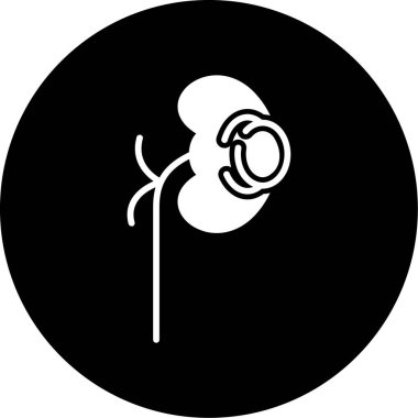 böbrek vektör düz simge