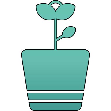 Beyaz arkaplanda izole edilmiş saksı bitkisi