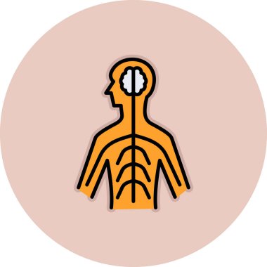 İnsan anatomisi simgesi renk ana hatları vektörü