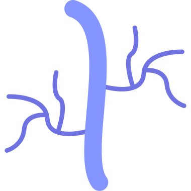 Beyaz arkaplanda insan anatomisi, illüstrasyon, vektör.